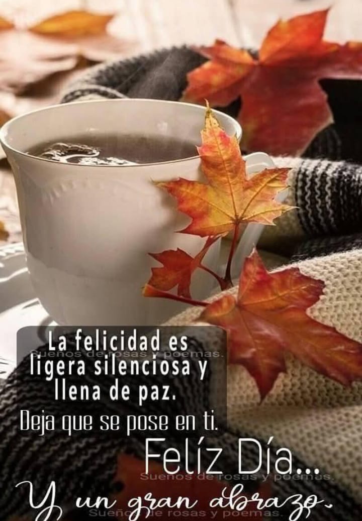 JosDeJessR15510's tweet image. 🌻🌸💚❤️ buen día 😊