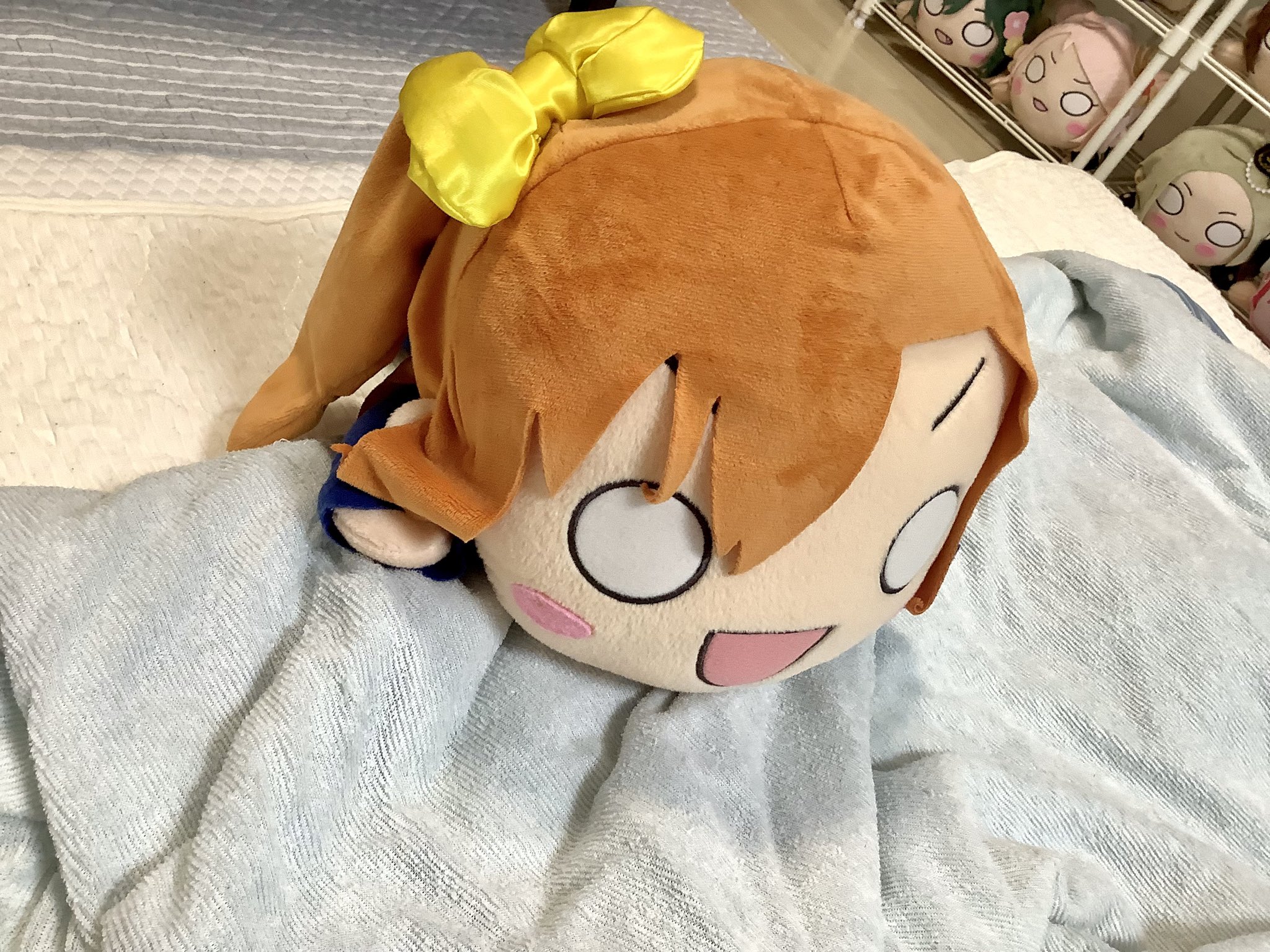 ちゃちゃ☘️可愛い猫ちゃんいます❤︎໒꒱様 ✨🤎ちゃおとたら吉🧑‍🦰😼🐾🤎✨ on X: 