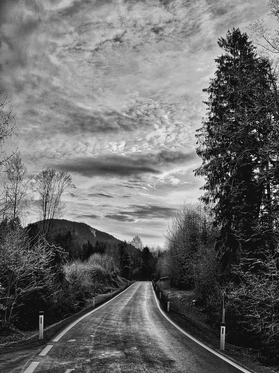 Drabbles153's tweet image. #NFTkaltenstein #kaltenstein #path #monochrome #noaiart