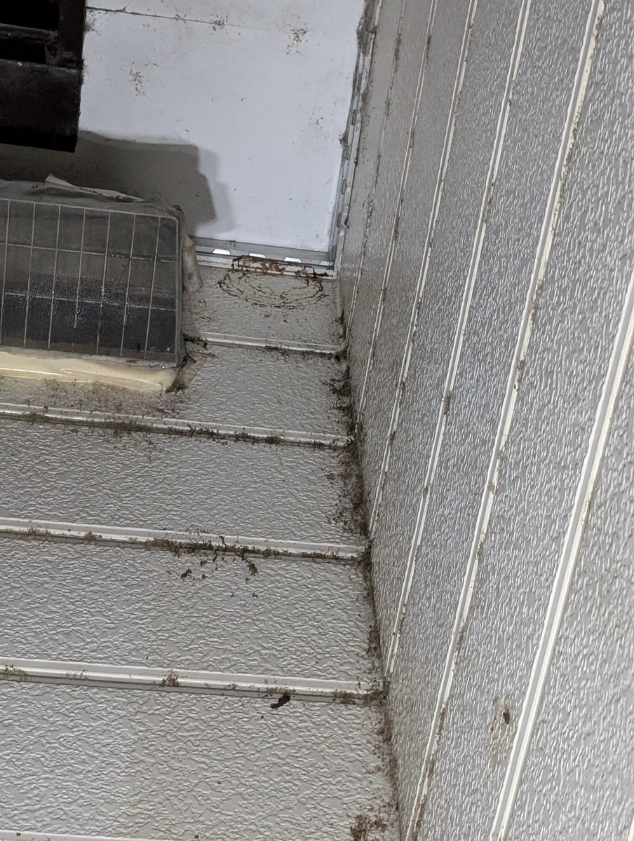 Ymd164's tweet image. 今夜もひと狩り🐝😁