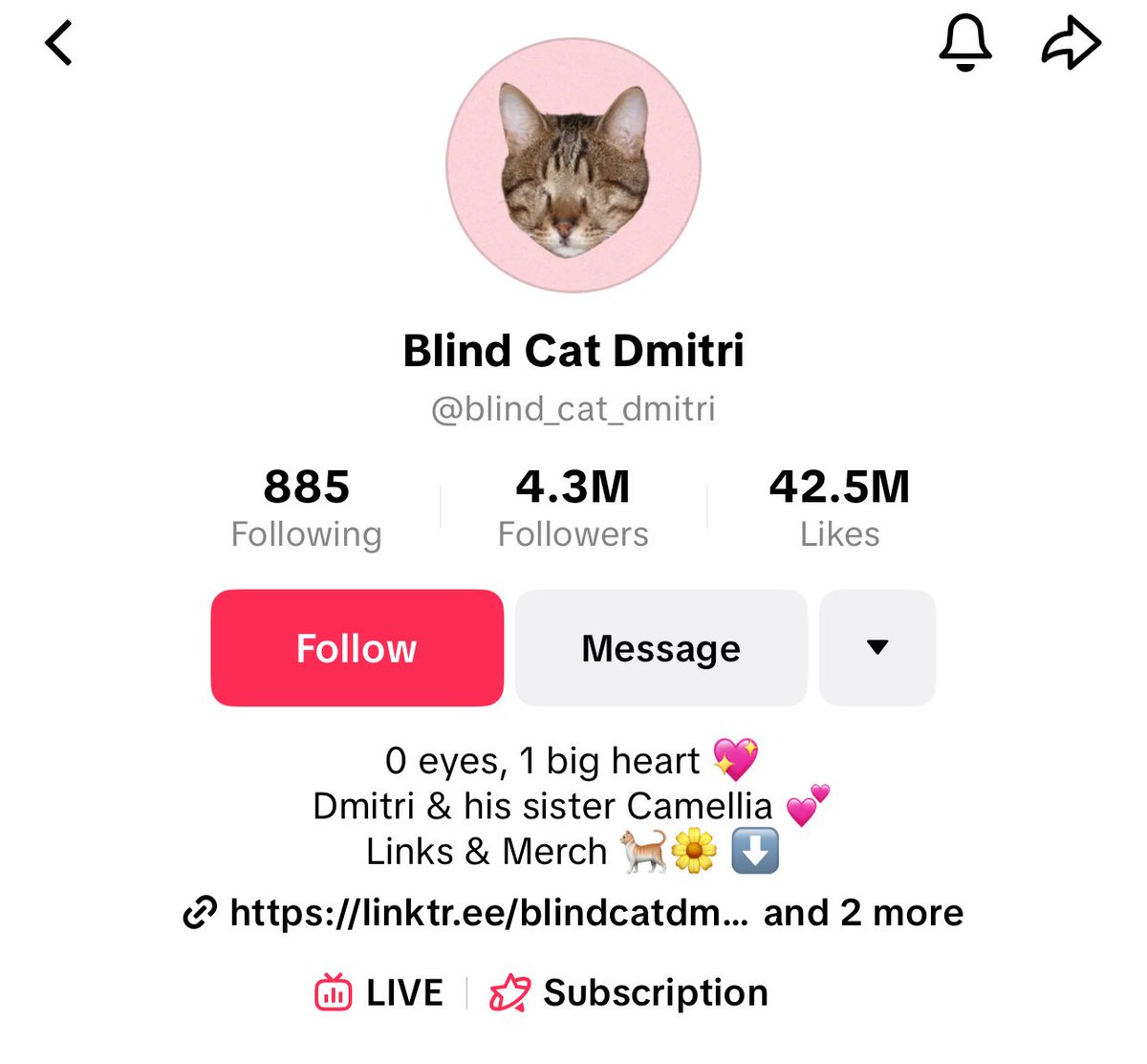 kookdblur's tweet photo. $HUAHUA Sended Hard
$MEIMEI Sended Hard 

Found a Better Narrative 

Ticker is $DMITRI 

She hasn’t eyes but she has a big heard 

4.3M followers on TikTok And 42.5M likes

https://t.co/9AAPJoRGs3…

663K Followers On Instagram 

https://t.co/ueyOcfAvnS…

She is famous and she is blind 

CT will love this narrative 

8ANzfLf88cGFaGqM5urr4qcR3TD6mmJwNHiJsDKabonk