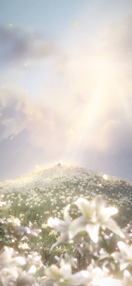 rai_leafs2's tweet image. まだなんも見てないんだけど一瞬でこうなるの怖すぎる
思念画面で綺麗な花畑だ〜とか思ってたら急に暗くなってびっくり