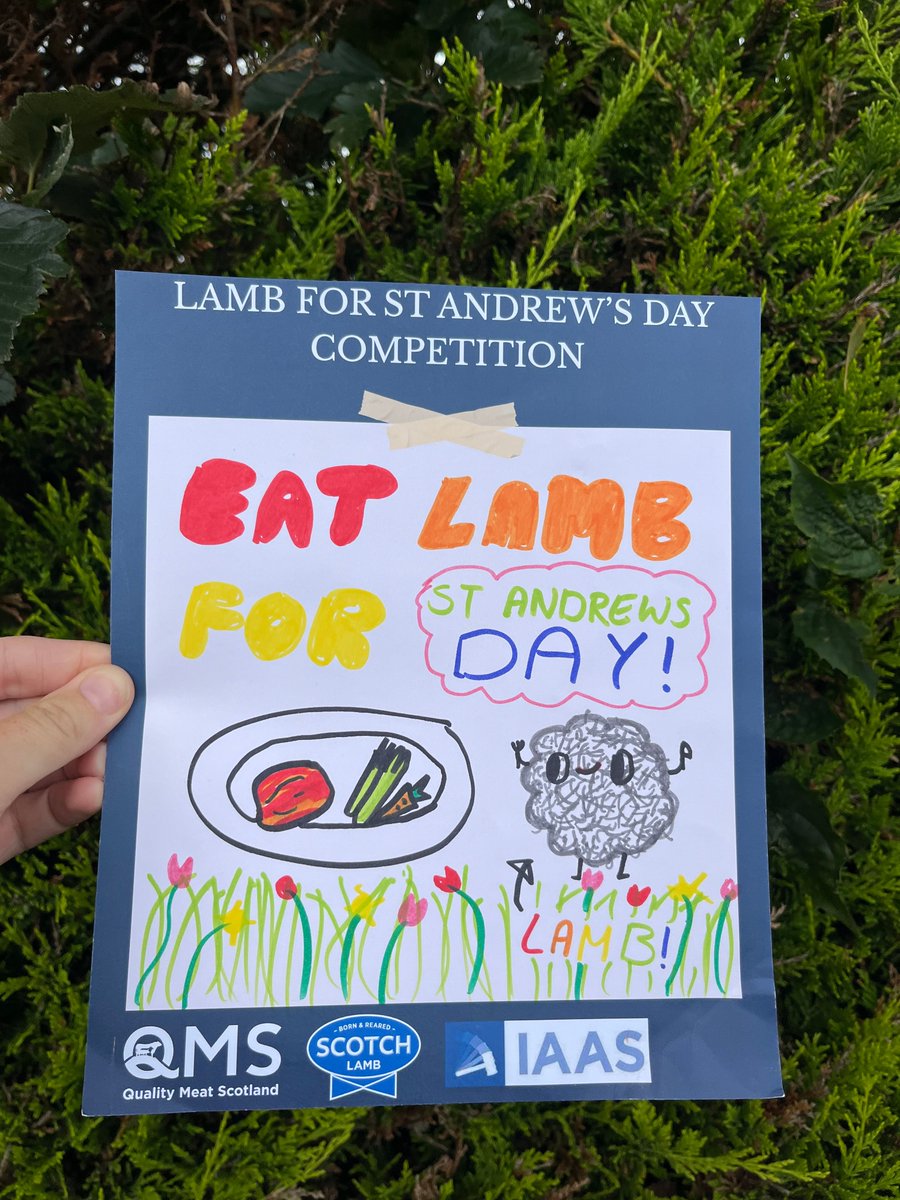 Make it Scotch Education tweet media