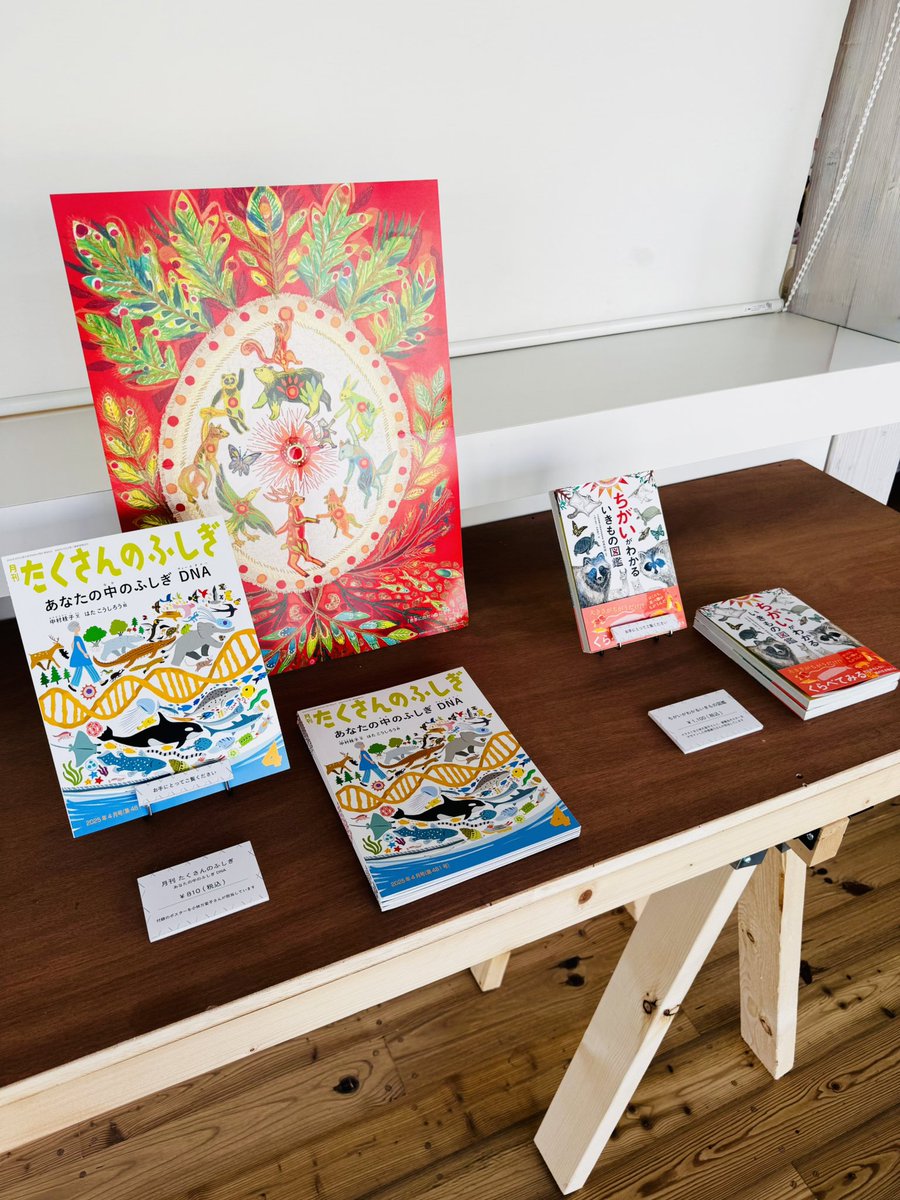 月刊たくさんのふしぎ　44冊セット Yahoo!オークション -「たくさんのふしぎ セット」の落札相場