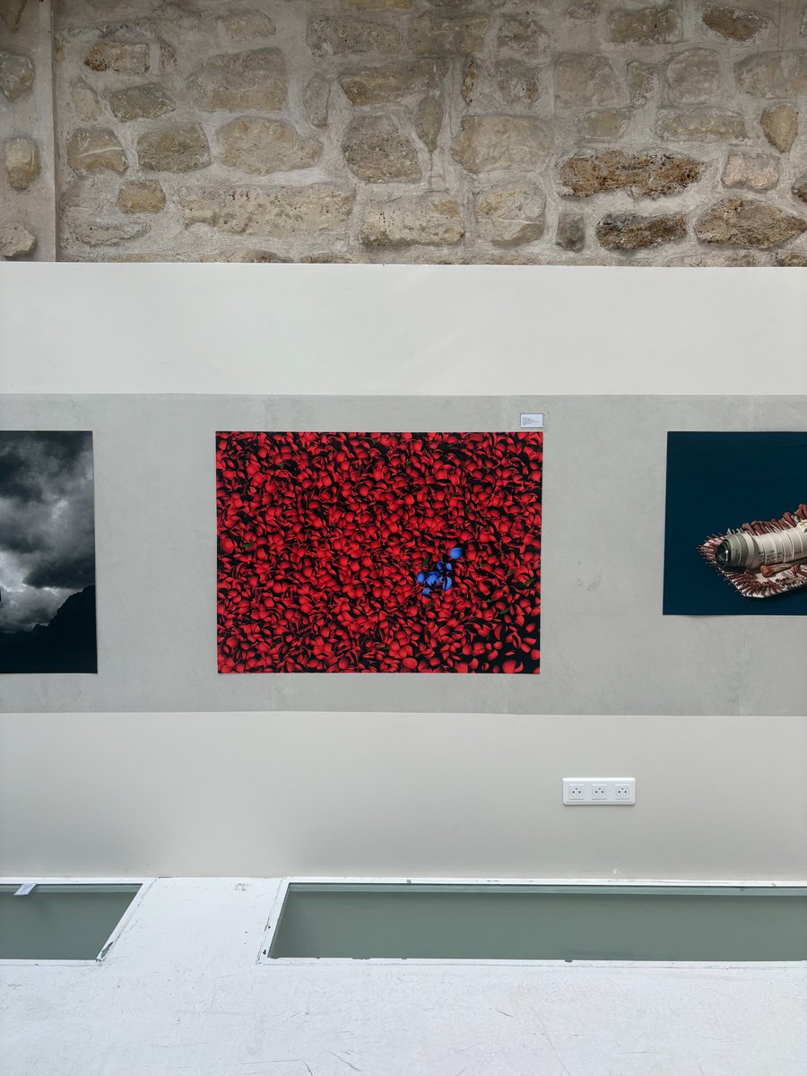 ArtverseParis's tweet image. gm 🤍

“Blue Roses in Red Roses” by Yi Inchul. 🖼️