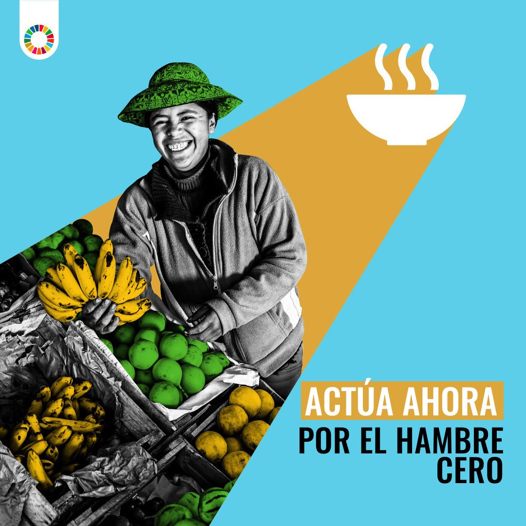 Naciones Unidas tweet media