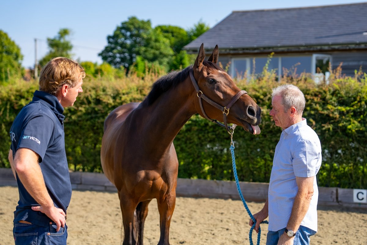OldGoldRacing's tweet image. It's been a long road back, but we're thrilled to say that Fabulous Fortune has now returned to training with @jamiesnowden!
We'll have more news about her syndicate soon as she builds up her fitness over the coming weeks and months...