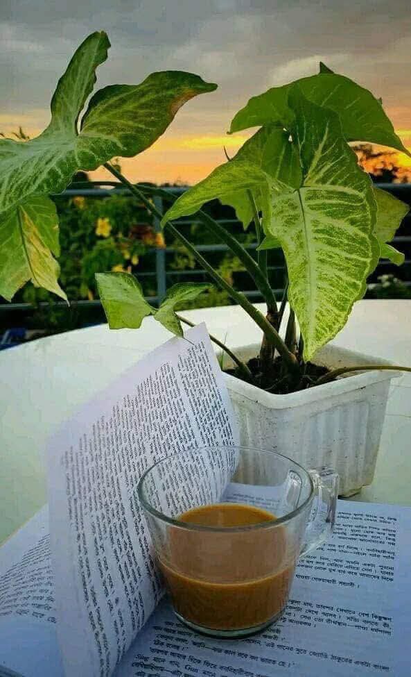 Simran45026922's tweet image. किसी से ना कीजिये उम्मीद
ए वफ़ा,,,,,
चाय पीजिये और कीजिये सब
को दफा...❣️
#जय_श्री_कृष्ण 🙏
#शुभ____संध्या
☕☕