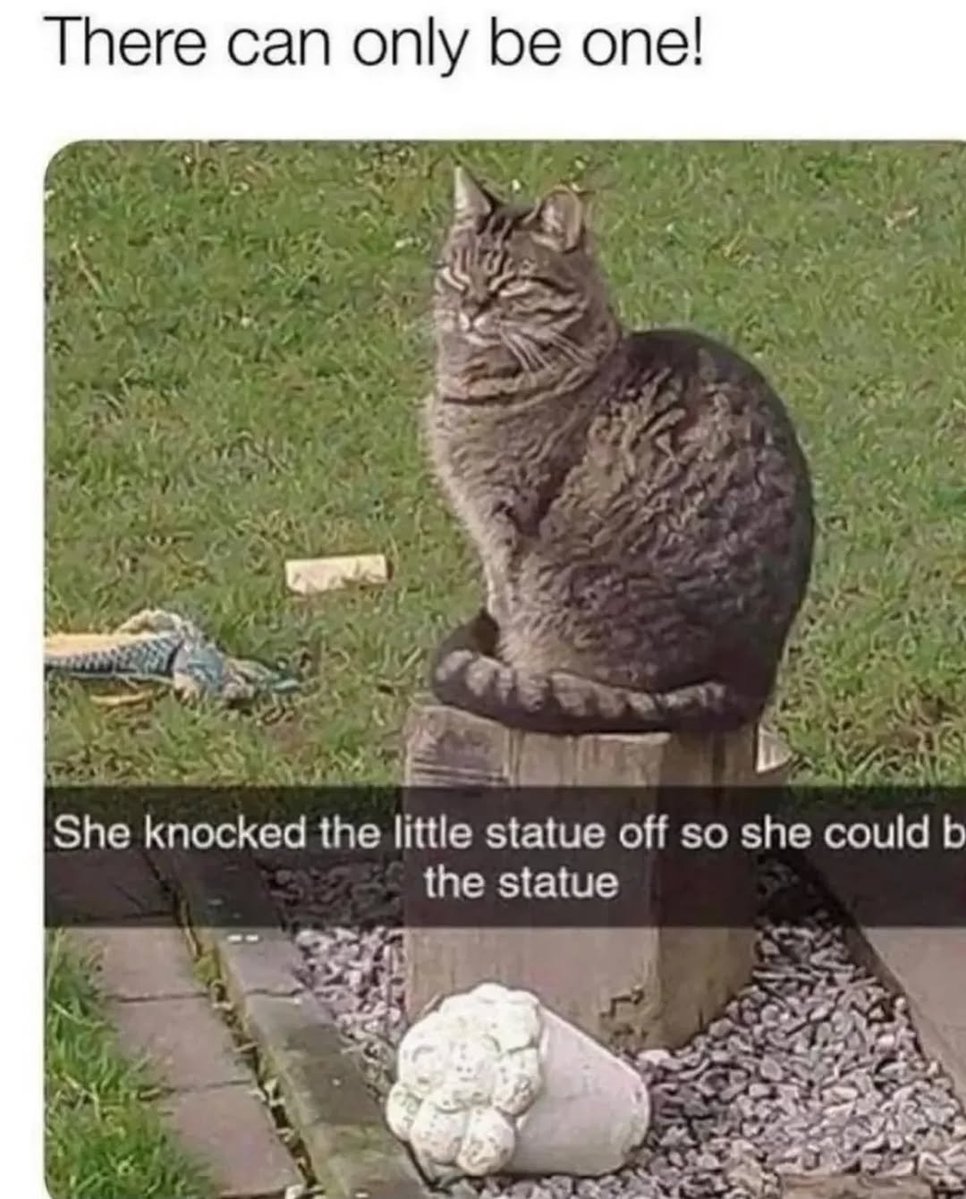I am the statue now🗿
