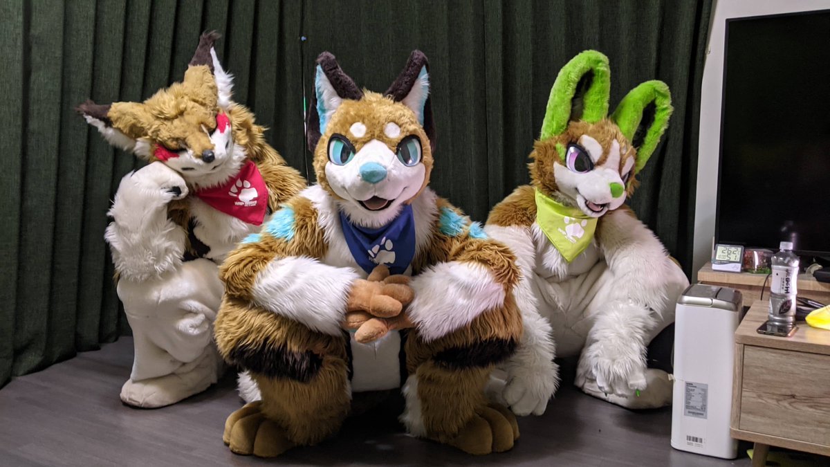 <a href="/rewerewolf_/">サカ 🔜 Infurnity</a>  <a href="/ShunosFOX/">諾斯 SHUNOS</a>
#FursuitFriday 
#fursuitfriday