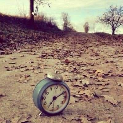 Hakkını hakk'a emanet edenin hakkı,
Ahirete kalmaz...