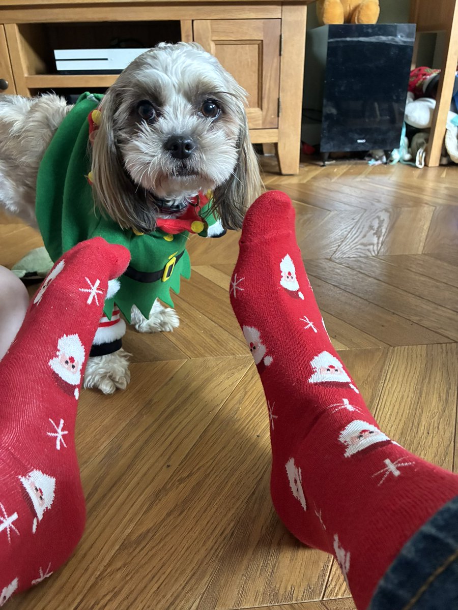 Andrew Thomson tweet media