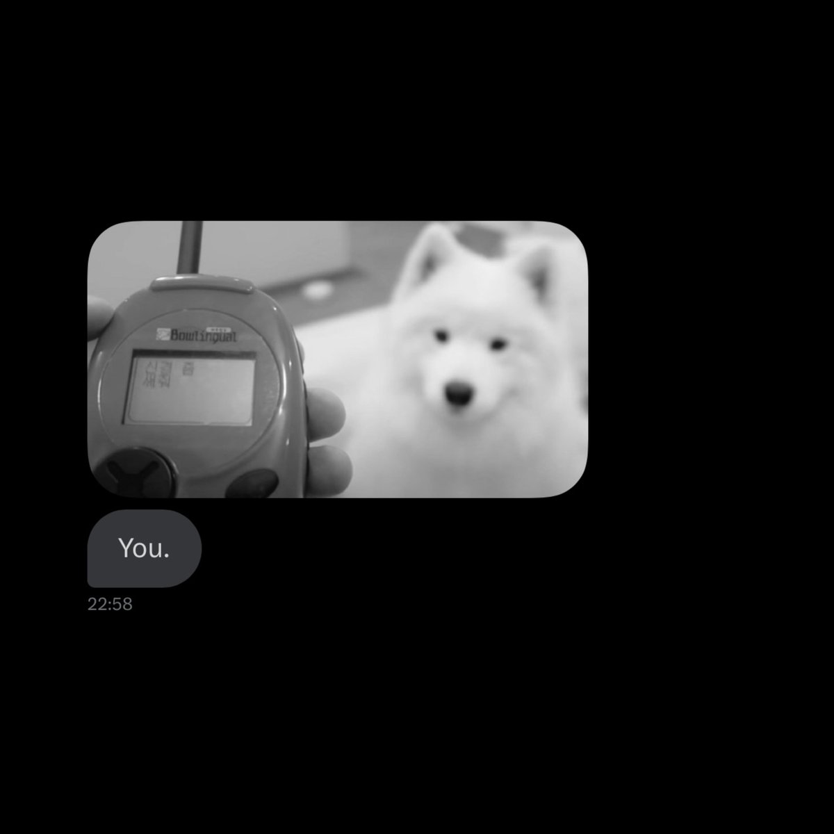 Nxctivxgx's tweet image. 