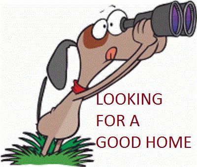 MaryElizabeth Rumsey (@meinrhyme) on Twitter photo <a href="/KyrieMeMo/">Kyrie O'Connor</a>
Ozuna, Scrappy, Dipper,
Each one a true heart stir,
Including Coffee, Banjo, and Skye-
None of these dogs are ready, to say
goodbye.
Unless the prospect, of a good family,
are about to occur. <a href="/KyrieMeMo/">Kyrie O'Connor</a>
Ozuna, Scrappy, Dipper,
Each one a true heart stir,
Including Coffee, Banjo, and Skye-
None of these dogs are ready, to say
goodbye.
Unless the prospect, of a good family,
are about to occur.