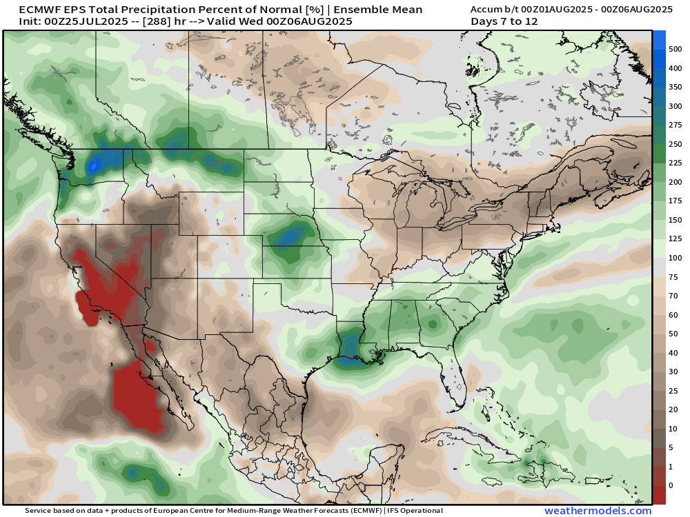 bam_weather's tweet image. Data still on track for a cooler start to August for the Ag Belt and drier as well for the Ohio Valley to NE US. Plains will remain active with storm activity.