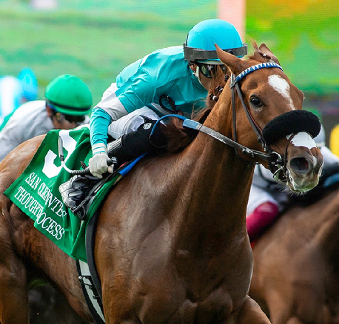 Stakes Winners 🏆 (@stakeswinners) on Twitter photo 🏆 THOUGHT PROCESS
(Hector I. Berrios - Philip D’Amato)
SAN CLEMENTE HANDICAP 2025 ($200,000) Del Mar <a href="/DelMarRacing/">Del Mar Racetrack</a> <a href="/HIBerrios/">Hector Isaac Berrios</a> <a href="/PhilDamato11/">Philip D'Amato</a> <a href="/MadaketStables/">MadaketStables</a> <a href="/lrfracing/">Little Red Feather Racing</a> <a href="/AirdrieStud/">Airdrie Stud</a>
📷 <a href="/benoitphoto_/">Benoit Photo</a> 🏆 THOUGHT PROCESS
(Hector I. Berrios - Philip D’Amato)
SAN CLEMENTE HANDICAP 2025 ($200,000) Del Mar <a href="/DelMarRacing/">Del Mar Racetrack</a> <a href="/HIBerrios/">Hector Isaac Berrios</a> <a href="/PhilDamato11/">Philip D'Amato</a> <a href="/MadaketStables/">MadaketStables</a> <a href="/lrfracing/">Little Red Feather Racing</a> <a href="/AirdrieStud/">Airdrie Stud</a>
📷 <a href="/benoitphoto_/">Benoit Photo</a>