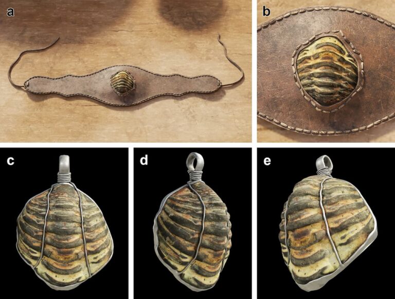 A Roman amulet, created from a small trilobite fossil, was unearthed at the Roman-era site of A Cibdá de Armea in Spain. Analysis shows it had been purposefully modified for likely use as a pendant (or bracelet) or was placed on a domestic altar as an offering.
