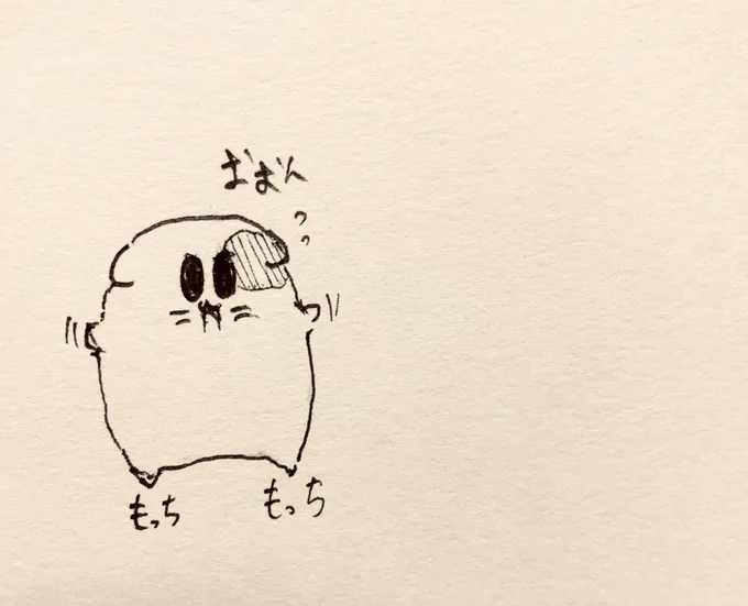 オモチャ整理をしよう🐱 