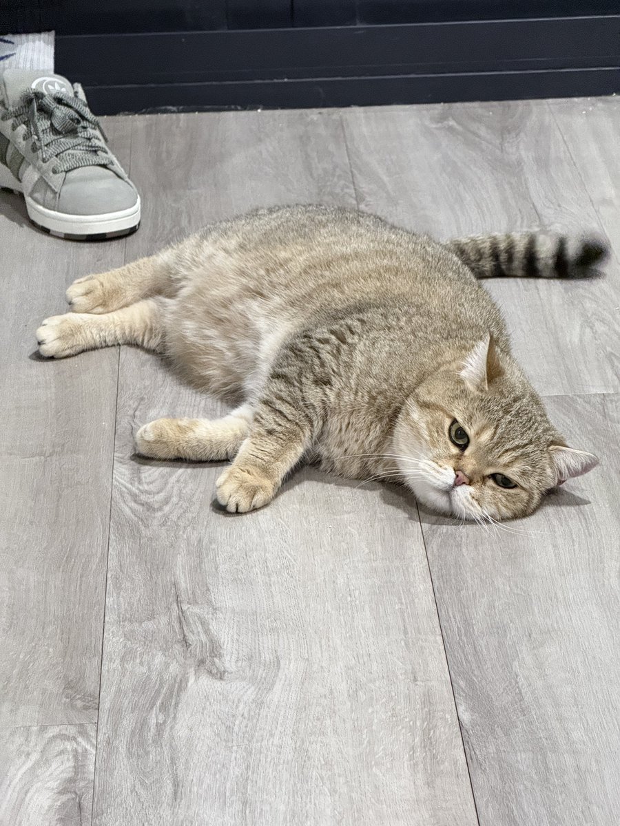 土豆真的好柔软呀