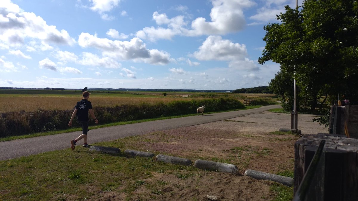 Multi inzetbaar die kaasmakers! : Achter een #lam aan.