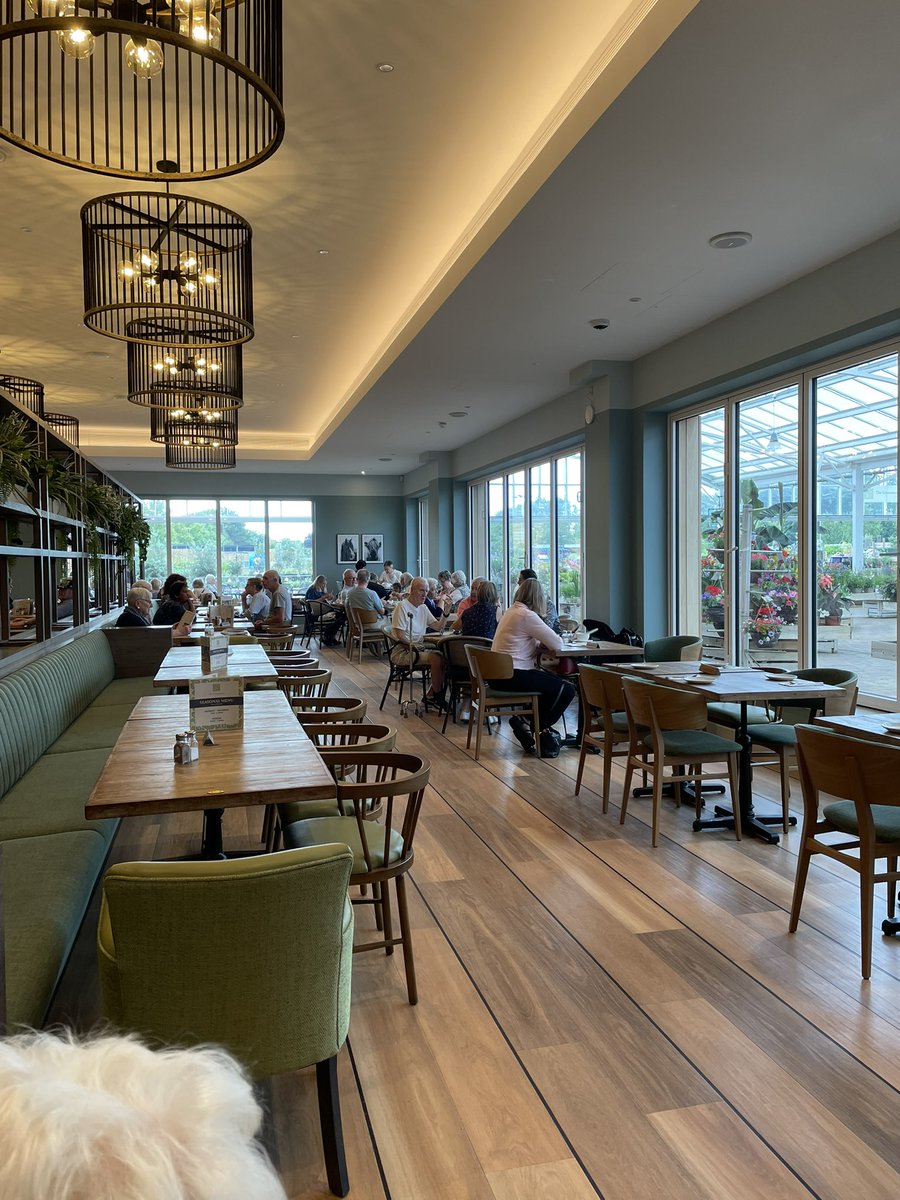adelegeras's tweet image. The new Greenhouse Café at @Scotsdales in Great Shelford is really lovely! @AnneMStott told me so and it’s true! Alert for all Cambridge people.