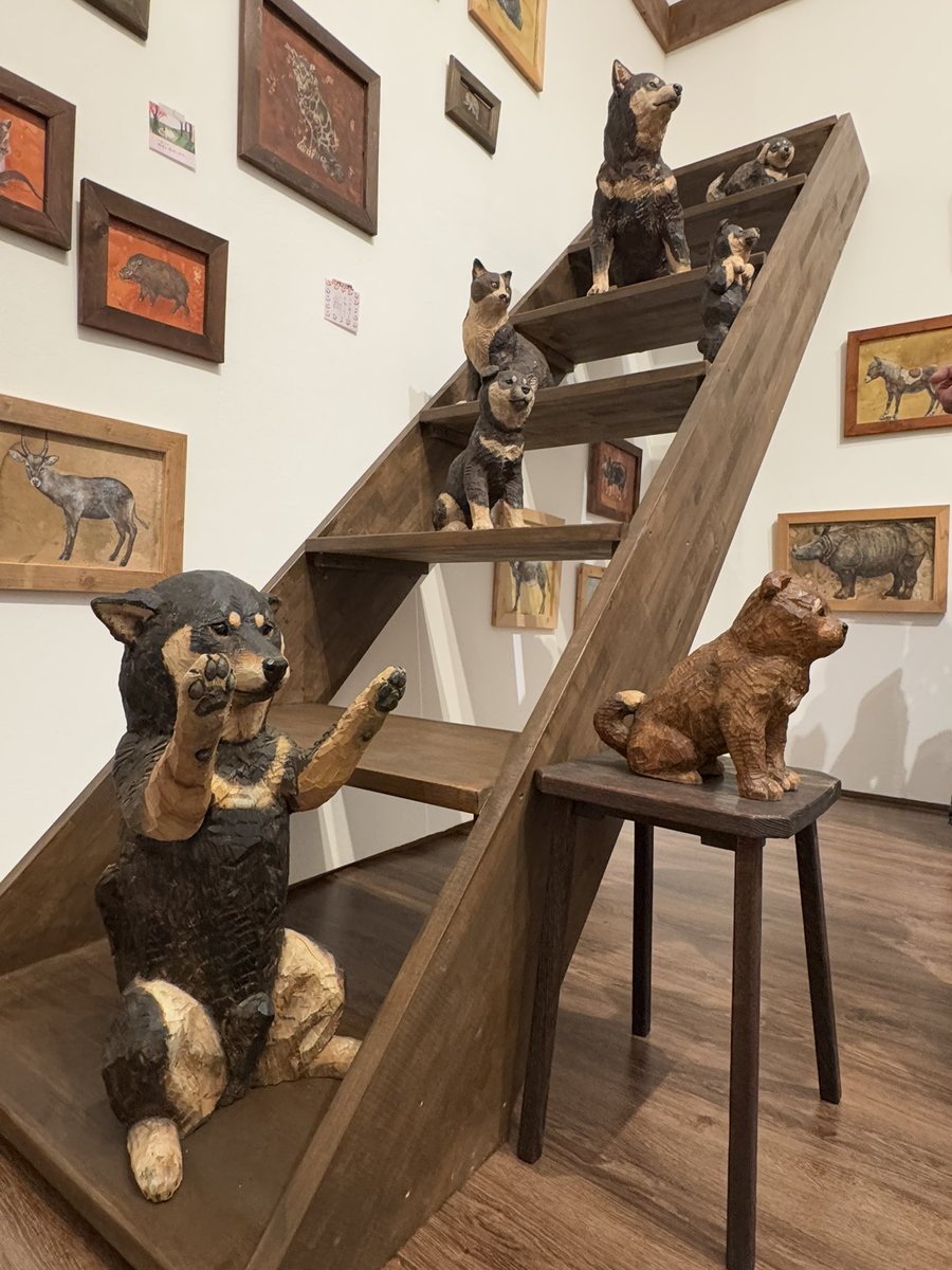 D_a_kr's tweet image. ということで先日群馬県立館林美術館で開催中の「はしもとみお木彫展」行ってきたんだけど、マジで今にも動きそうなリアルな表情と躍動感の動物の木彫の数々に触れられるのでめっちゃオススメ
#はしもとみお木彫展