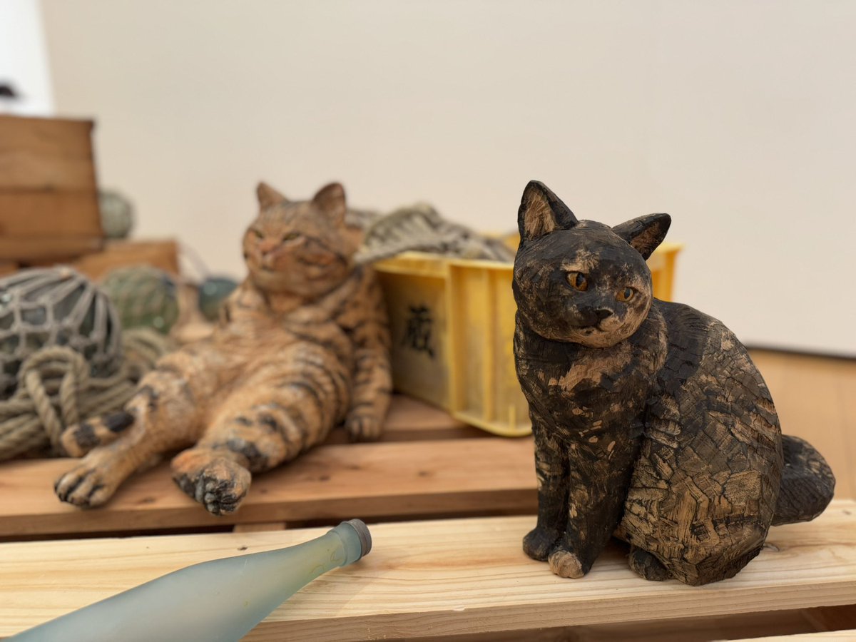 D_a_kr's tweet image. ということで先日群馬県立館林美術館で開催中の「はしもとみお木彫展」行ってきたんだけど、マジで今にも動きそうなリアルな表情と躍動感の動物の木彫の数々に触れられるのでめっちゃオススメ
#はしもとみお木彫展
