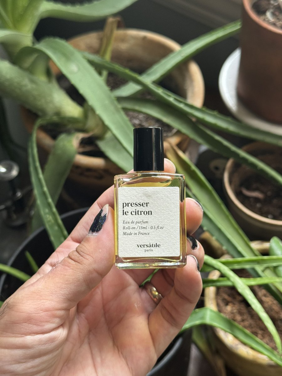 FA_Writing's tweet image. This makes me smell like limoncello cake  😍. It’s sweet and creamy, the lemon isn’t too overpowering. @saudadesolitas this may be my new favorite daily scent 😳.