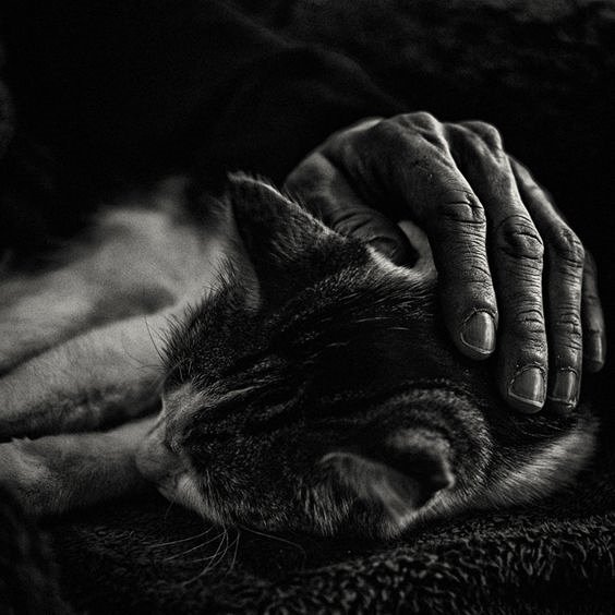 GemmitiMoreno's tweet image. "La vera misura di un uomo si vede
da come tratta qualcuno da cui
non può ricevere assolutamente
nulla in cambio ."
⚘
Samuel Johnson