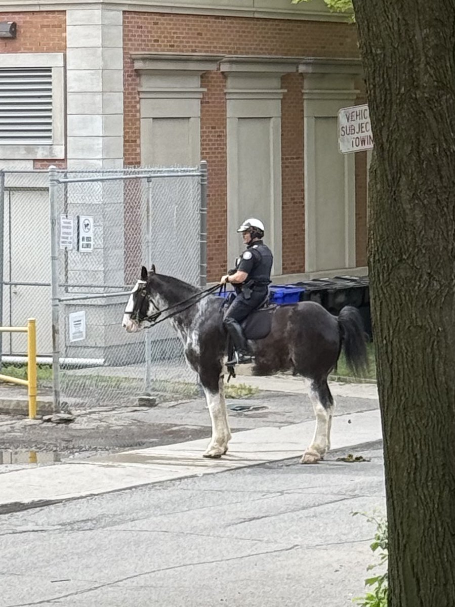 BODYBUZZRECS tweet media