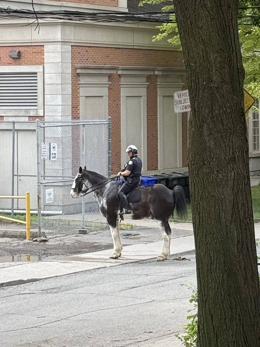 BODYBUZZRECS tweet media