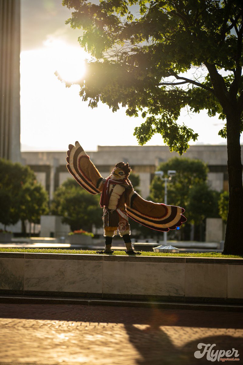 LeRitoOrange's tweet image. Le soleil~ 🧡☀️

#FursuitFriday 
📸 @jordanfelle