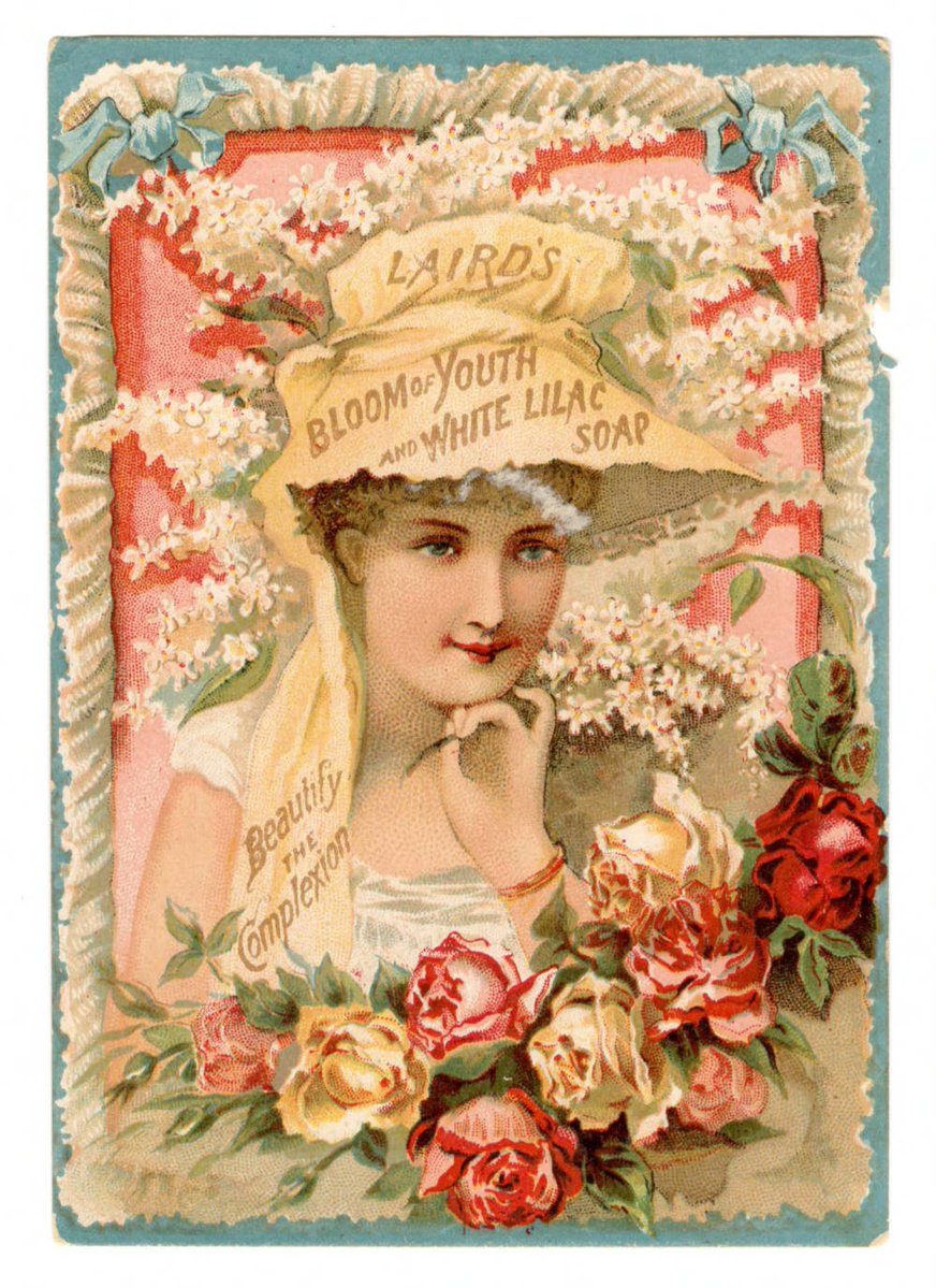 state_library's tweet image. This late-19th-century advertising card for Laird's Bloom of Youth claimed it could "obliterate" skin imperfections. In reality, the product contained toxins that caused health issues. From the State Library's Advertising Cards and Ephemera Collection. tinyurl.com/cw65wyzb