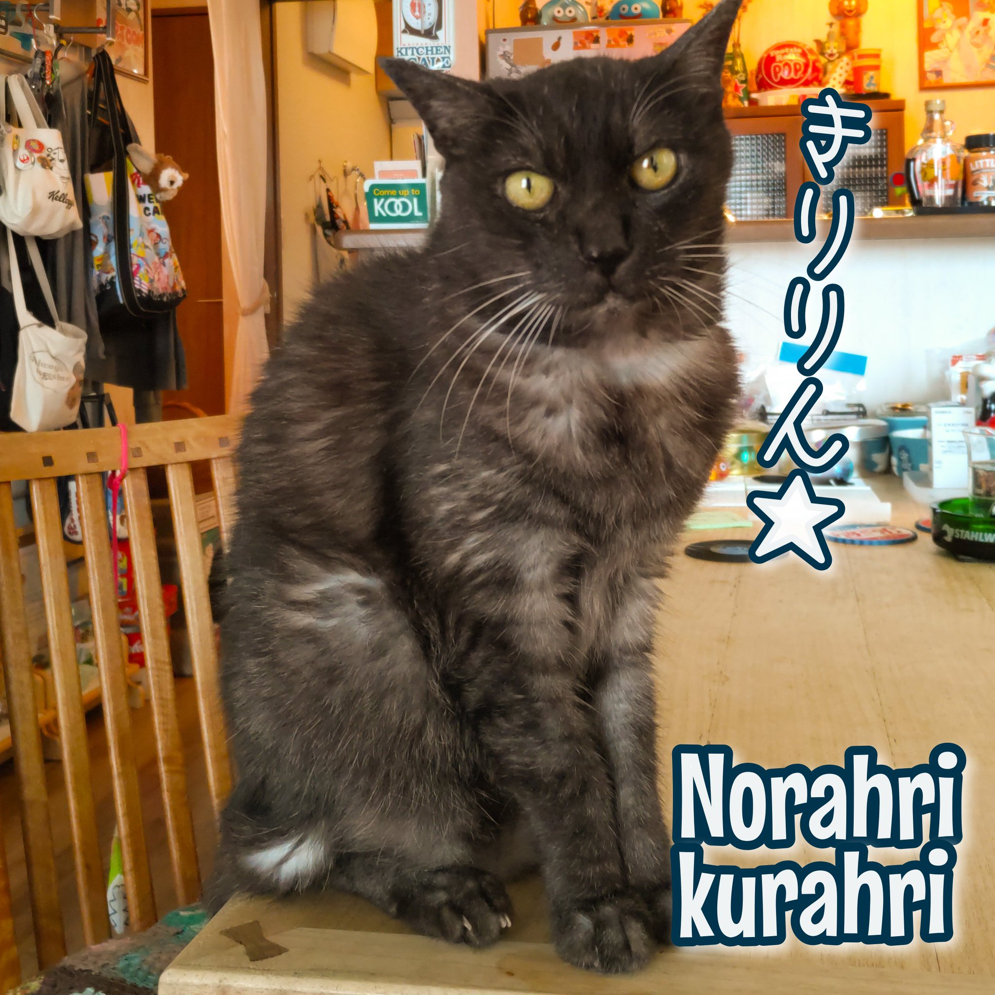 ぐりくま　ぐりねこ 同)NK玩具 on X: 