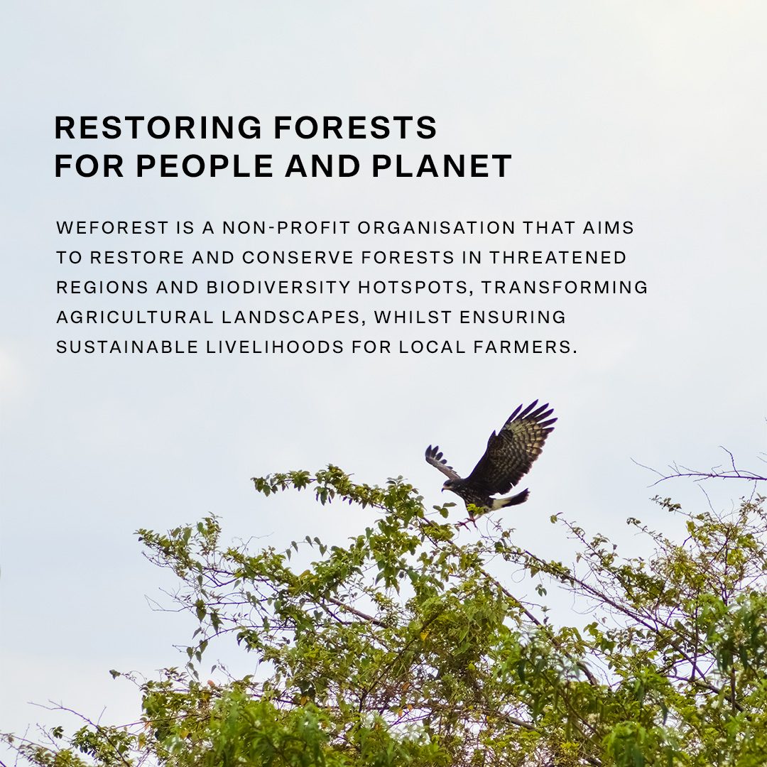 FCUK's tweet image. (1/2) This weekend, as part of our #ConsciousConnection initiative we're continuing to support our ongoing partnership with @weforest_org and donating £1 from every order from today, until Monday 28th July. 💚