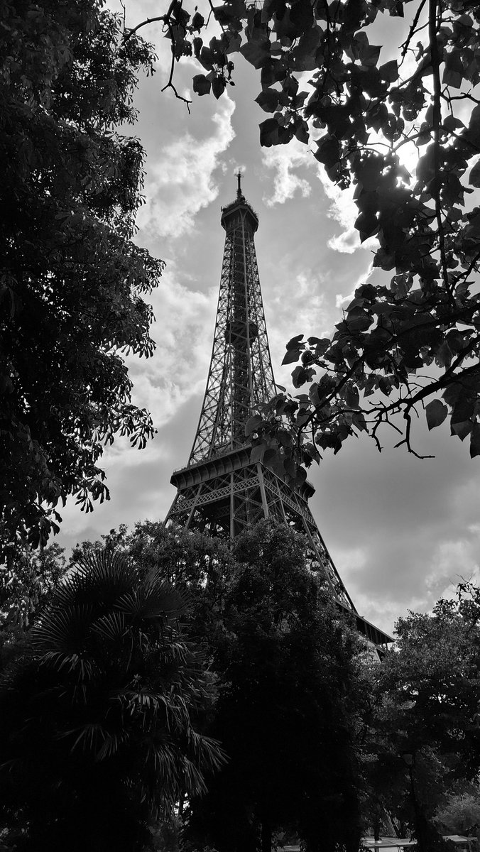ArthurDDent's tweet image. 🗼😊