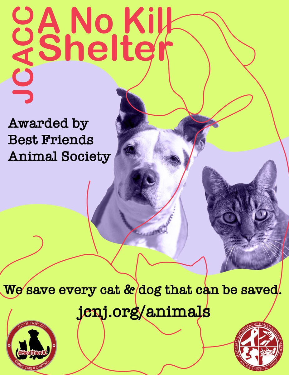 HealthierJC's tweet image. HHS Division of Animal Care & Control is proud to be recognized by #BestFriendsAnimalSociety as a No Kill Shelter. We have an over 92% live release rate for domestic animals. Caring about our fur-friends for a #HealthierJC bestfriends.org/no-kill-2025/a… @jerseycity