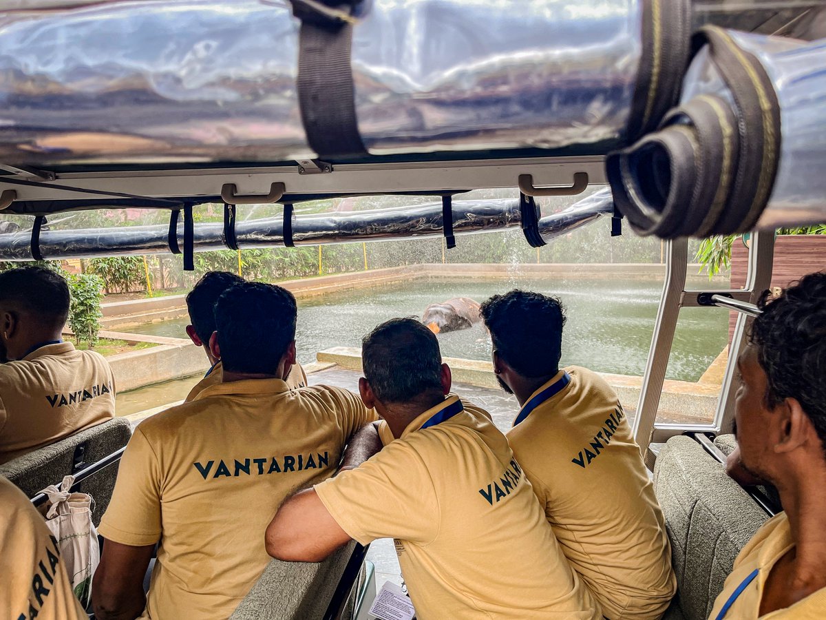 Vantara and Project Elephant hold India’s largest elephant caregiver training
deshgujarat.com/2025/07/25/van…