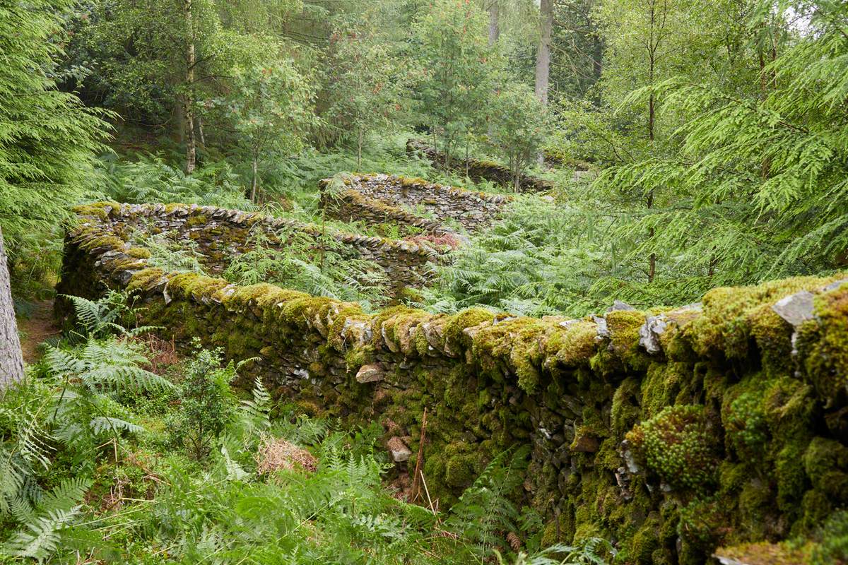 artukdotorg's tweet image. Happy birthday to artist Andy Goldsworthy! 🎂
🌳 Discover the artist's works on Art UK 👉 artuk.org/discover/artis…
© Andy Goldsworthy, courtesy Galerie Lelong & Co. 📸 @ForestryComm @GrizedaleSculpt @ForestryEngland
