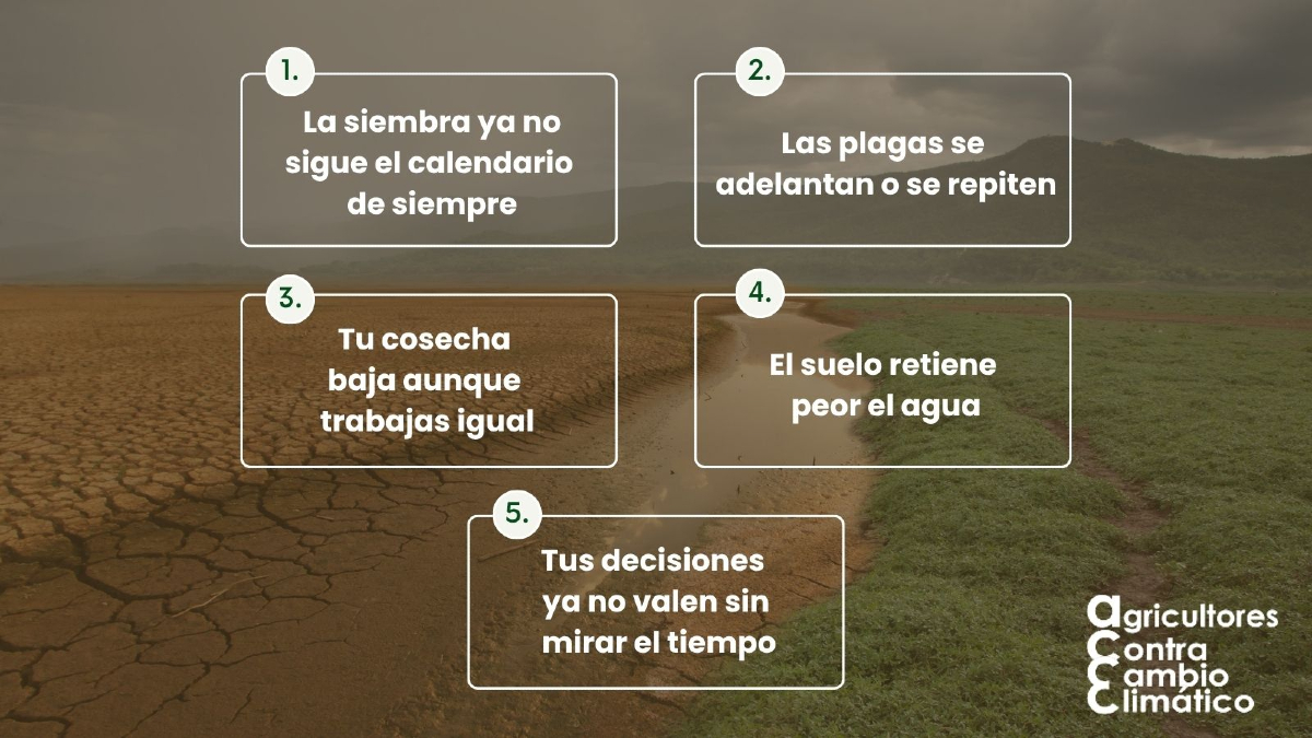 🌾 5 señales de que el clima ya ha cambiado en tu zona

No hace falta mirar informes ni gráficas para saber que algo está cambiando.

 Lo ves en el campo, en el cielo y en la tierra. No es cosa de futuro. Es hoy. Y toca adaptarse.

Porque el campo que viene no se parece al de