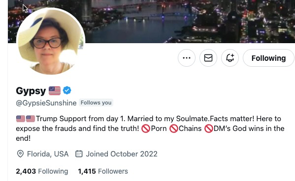 FlBirder's tweet image. Let's give this patriot a boost. She's funny and smart and likes a lot of my posts! @GypsieSunshine - follow, like, and repost.