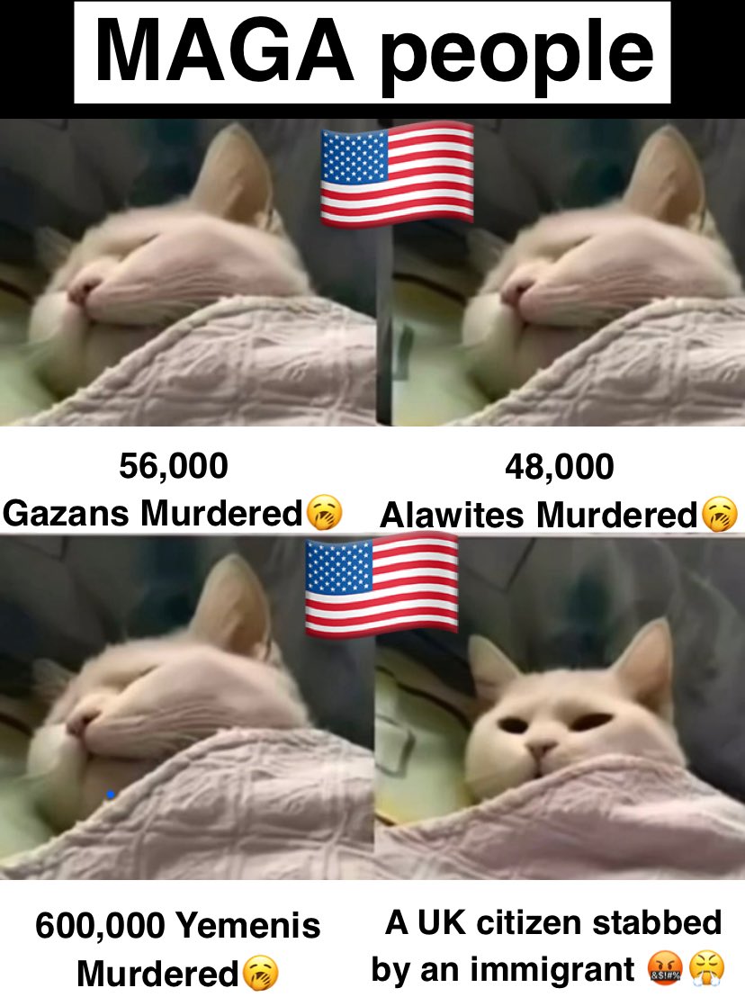 𝐖𝐨𝐫𝐥𝐝 𝐇𝐢𝐬𝐭𝐨𝐫𝐲♖♞(𝓐𝓵𝓲) (@world_c_history) on Twitter photo 