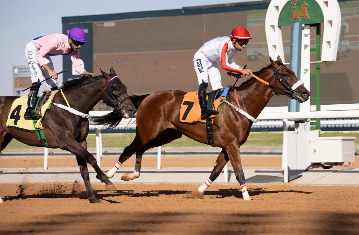 JockeyClub_SA's tweet photo. نتيجة الشوط الـ 3 الحفل ( 1 ) 

◻️الفائز : كنزي
◻️المالك : ابناء الملك عبدالله بن عبدالعزيز 
◻️المدرب : احمد محمود
◻️الخيال : كاميلو اوسبينا
◻️المسافة : 1200م

#موسم_سباقات_الطائف
#نادي_سباقات_الخيل 🐎 https://t.co/4jUryy23AV
