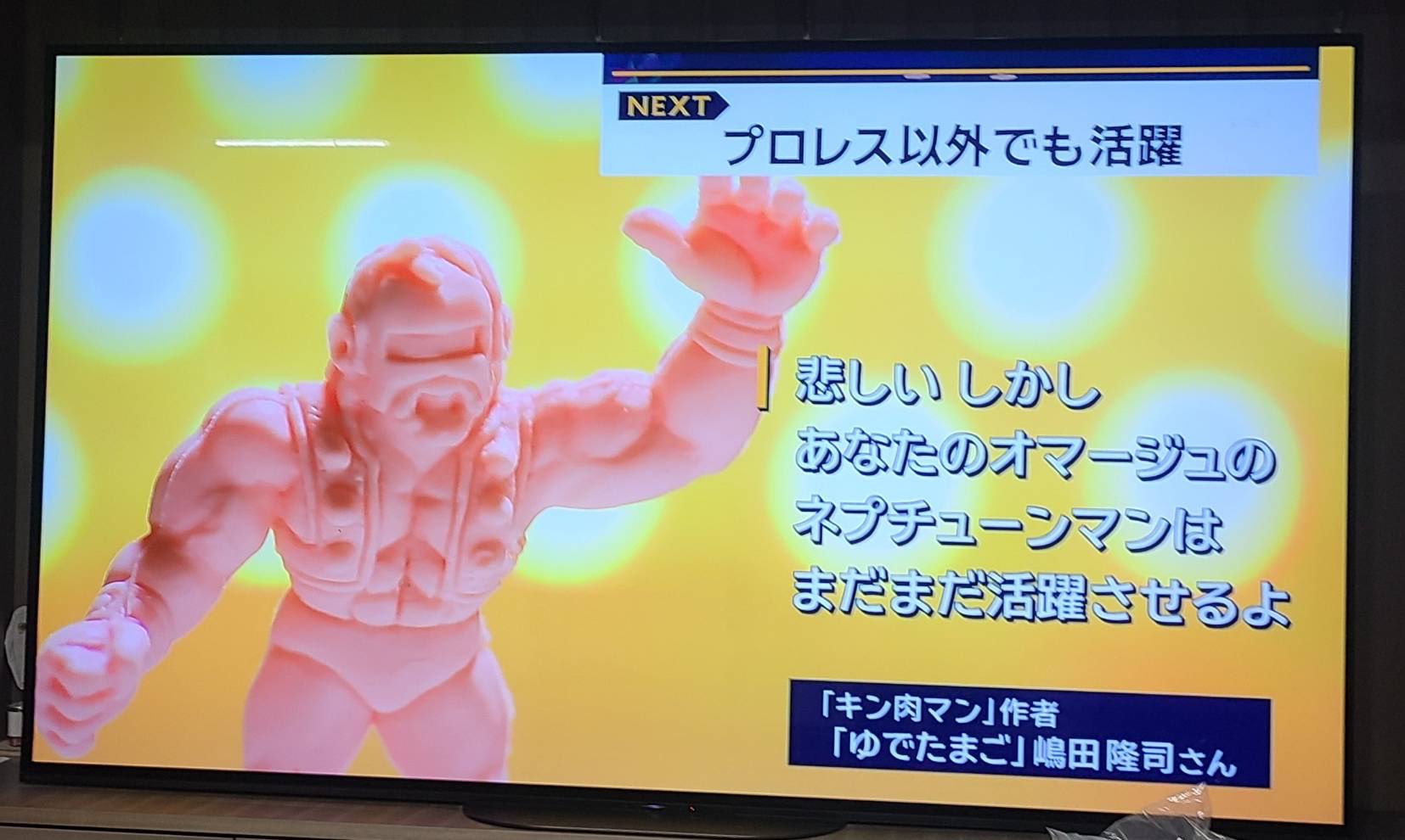ハルクホーガン　生写真　1点もの 510A1eJiRIS._UF350,350_QL80_.jpg
