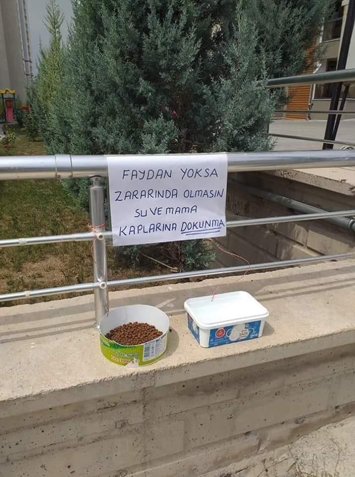 Havalar çok sıcak onlar sizden su isteyemezler lütfen kapınızın önüne ,sokağınıza temiz ve hijyenik şekilde sular bırakın.  Ve lütfen faydanız yoksa kaplara zarar vermeyin . #birkaptemizsu