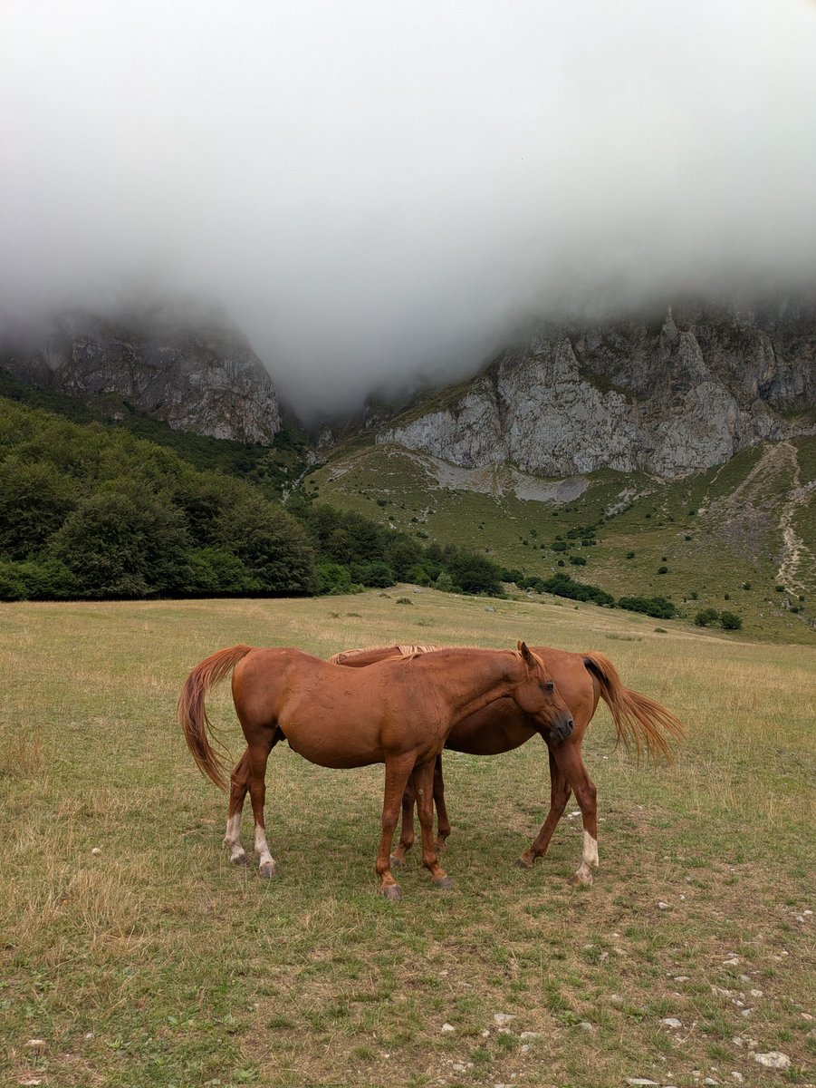 random_freaks's tweet image. spent a few days in the mountains.
Feels good