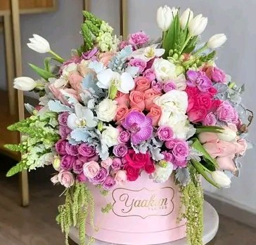 Rodolfo Gaytán tweet media