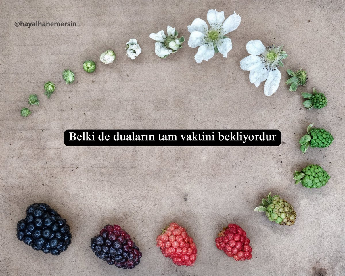 Belki de duaların tam vaktini bekliyordur.