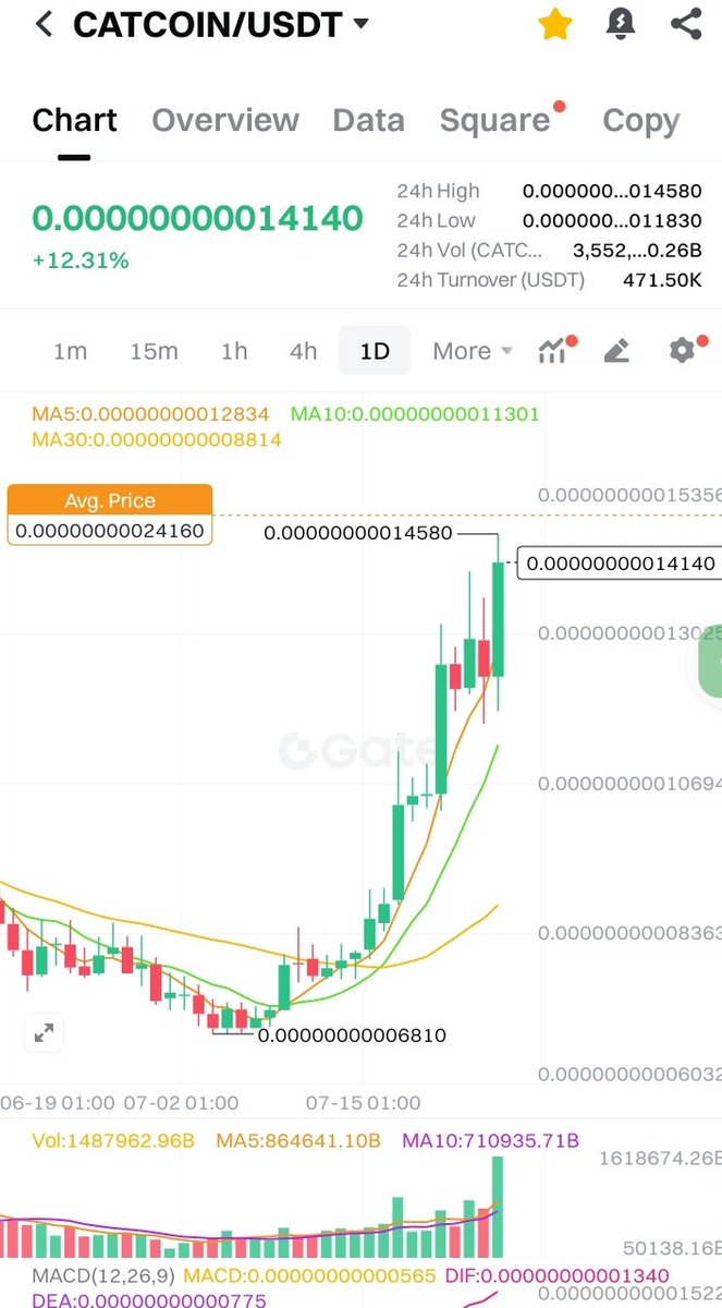 nonoversity tweet media