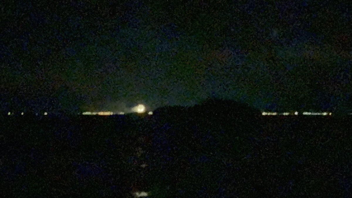 いきものつづり tweet media